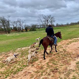 Profile Picture of Cody Thompson (@cody.thompson.961556) on Facebook