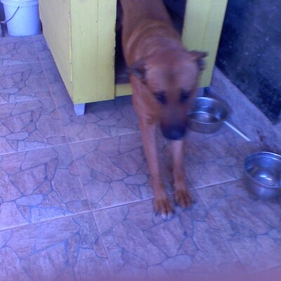 Profile Picture of Alexandra Astudillo (@@FuenzalidaDonna) on Twitter