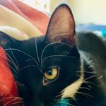 Profile Picture of MELISSA BROGDON (@jimmymelissabrogdon) on Instagram