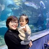 Profile Picture of Thảo Lê51763 (@kathyturkey179) on Tiktok