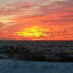 Profile Picture of Kasey McHale (@knine84) on Instagram