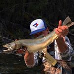 Profile Picture of Tim Waite (@timmywaite) on Instagram