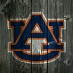 Profile Picture of Andrew Bowlin (@andrew_bowlin) on Instagram