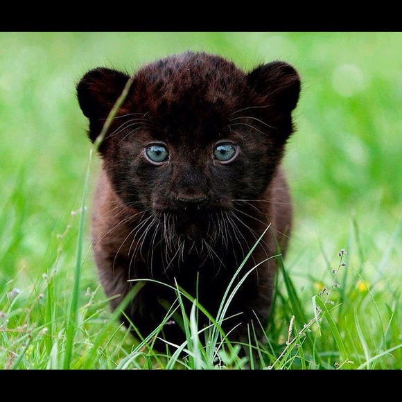 Holly Loney - Poshmark Profile Picture of Holly Loney (@holly220) on Poshmark