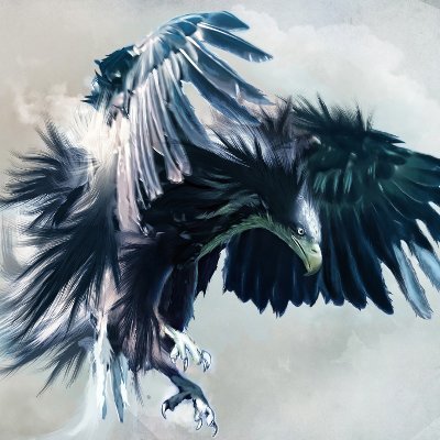 Profile Picture of Dorian (@Dorian_Speed) on Twitter