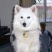 Profile Picture of Wilma Mallory (@casey4181) on Pinterest