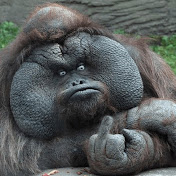 Profile Picture of Ryan Cullen (@RyanCullen1980) on Youtube