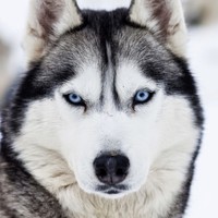 Profile Picture of Eissa Ibrahim Eissa (@eissa-ibrahim-eissa) on Quora