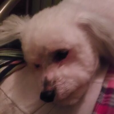 Profile Picture of Alex Traylor (@TraylorAlex) on Twitter