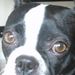 Profile Picture of Doris Daugherty (@dorisdaugherty1) on Pinterest