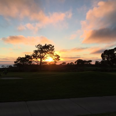 Profile Picture of Andre Robin (@DreRobin) on Twitter