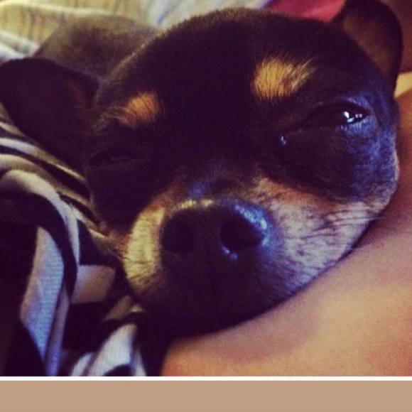 Profile Picture of Lisa Lowe (@skyarc2jubilee) on Poshmark