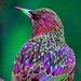Profile Picture of Colette Samuel (@coletteasamuel) on Pinterest