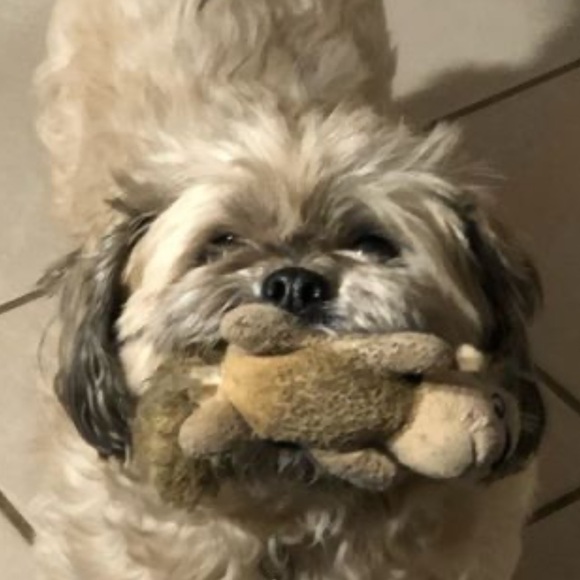 Profile Picture of Demetrios Katras (@metso) on Poshmark