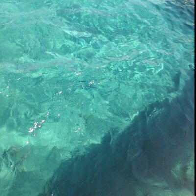 Profile Picture of Natalia Savchenko (@KoneNatalia) on Twitter