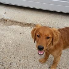 Profile Picture of Micah Larson (@micah39665757) on Twitter