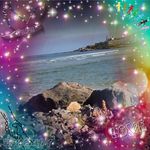 Maddie McAdoo - Instagram Profile Picture of Maddie McAdoo (@sarah_june_rothe) on Instagram