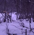 Profile Picture of Joseph Hostetler (@Joseph-Hostetler) on Facebook