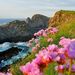 Profile Picture of Casey Traver (@caseylynn99) on Pinterest