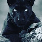 Profile Picture of Aaron Fretwell (@universe18062019) on Instagram