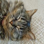 Profile Picture of John Vaughter (@vaughterjohn) on Instagram