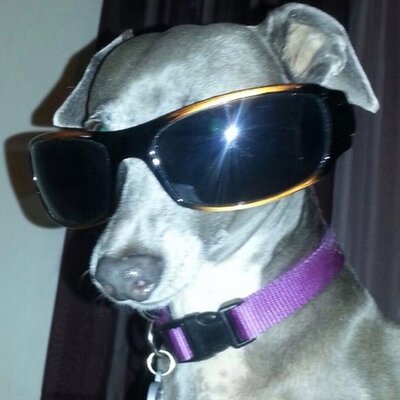 Profile Picture of Erin Wade (@erinwade6226) on Twitter