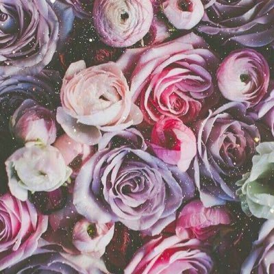 Profile Picture of Crystal (@_CrystalAthena_) on Twitter