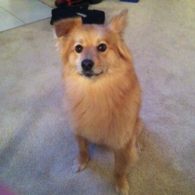 Valerie Bauer - Twitter Profile Picture of Valerie Bauer (@valbauer0313) on Twitter