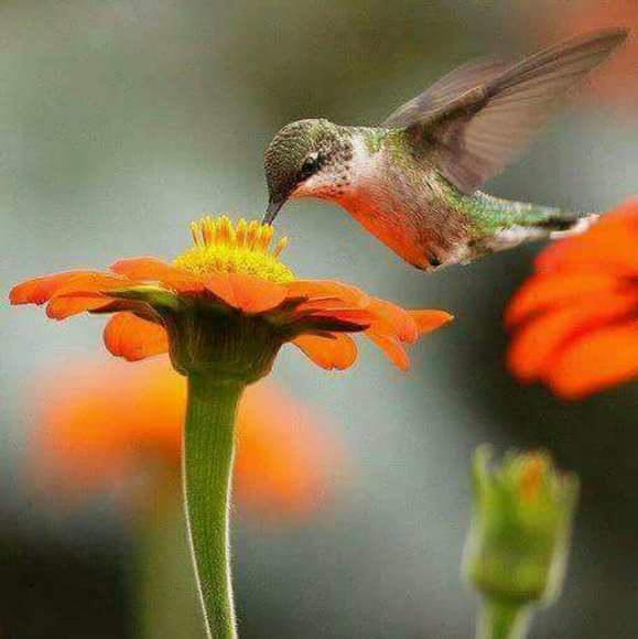 Profile Picture of James Branch (@jamesbranch6) on Poshmark