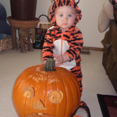 Profile Picture of Michael Fitterer (@MFitterer) on Twitter