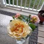 Profile Picture of Kelly Ahearn (@kelly.ahearn.12) on Facebook