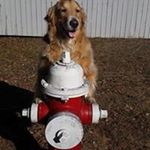 Profile Picture of Randy Davey (@daveyrandy) on Instagram