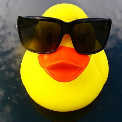 Benjamin Quek - Twitter Profile Picture of Benjamin Quek (@BenjaminQXJ) on Twitter