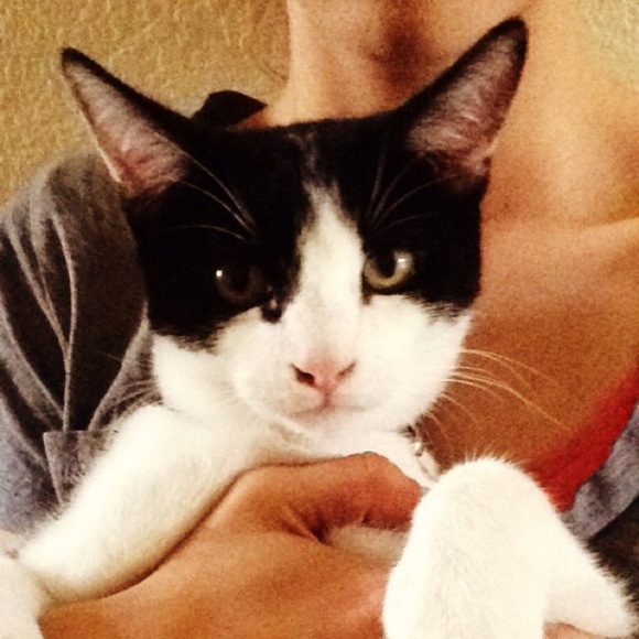 Profile Picture of Natasha Rodocker (@nrodocker) on Poshmark