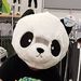Profile Picture of Craig Cronin (@ccronin0220) on Pinterest