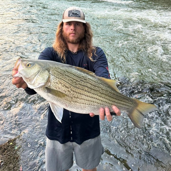 Profile Picture of Austin Cooper (@@_austxn) on Tiktok