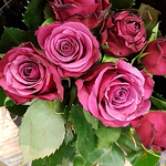 Profile Picture of Sarbjeet Singh (@studio279) on Flickr