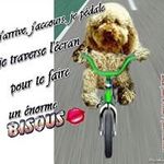 Profile Picture of Jerry Folahan (@jerryfolahan) on Instagram