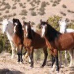 Randy Rainey - Instagram Profile Picture of Randy Rainey (@wllrainey) on Instagram