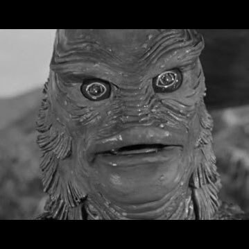 Profile Picture of Chase Braun (@Oceanpersons) on Twitter