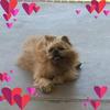 Profile Picture of Douglas Mackey (@@landshaker) on Tiktok