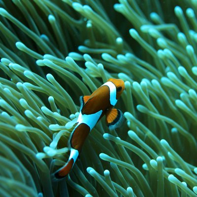 Profile Picture of Sharon Wagner (@Krystal512) on Twitter