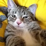 Profile Picture of Andrew Vasile (@andrewvasile) on Instagram