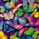 Profile Picture of Lucy (@lucywinder3) on Instagram