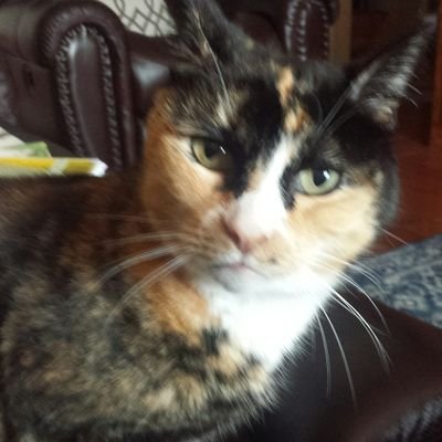 Profile Picture of Misti Love (@1022mistilove) on Twitter