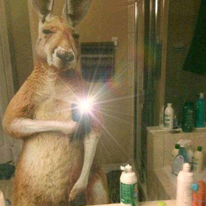 Profile Picture of JAVIER (@guadalupevelazq8351) on Tiktok