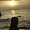 Profile Picture of Amanda_surf (@amanda_surf) on Tiktok