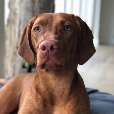 Profile Picture of Ed Recio (@EARecio) on Twitter