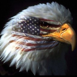 David Pickersgill - Twitter Profile Picture of David Pickersgill (@37hockeyfan37) on Twitter