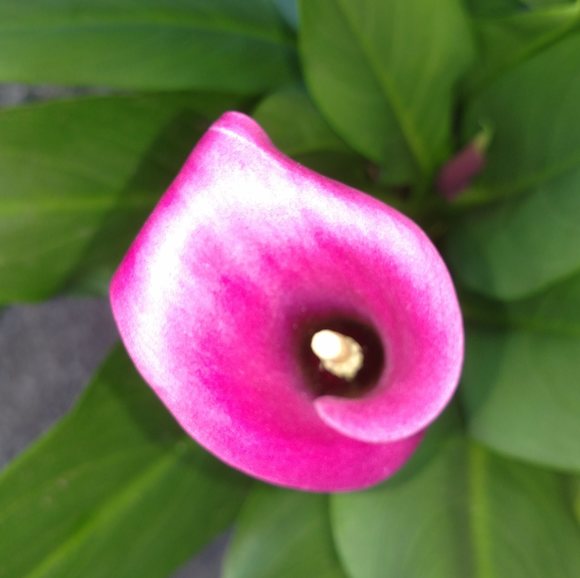 Profile Picture of Paula Maes-bueno (@maesbueno) on Poshmark